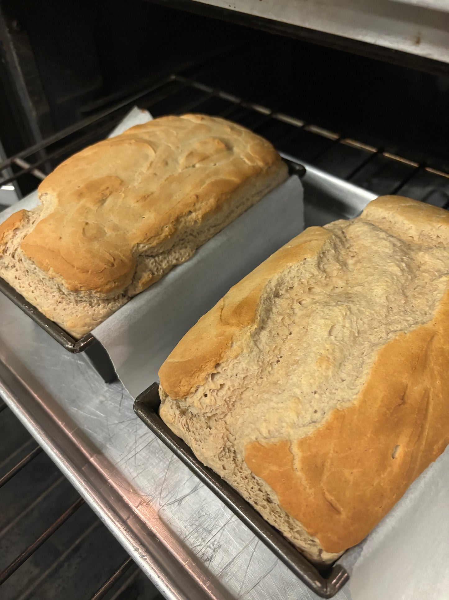 Gluten-Free Bread Traditional Grains Nut Free