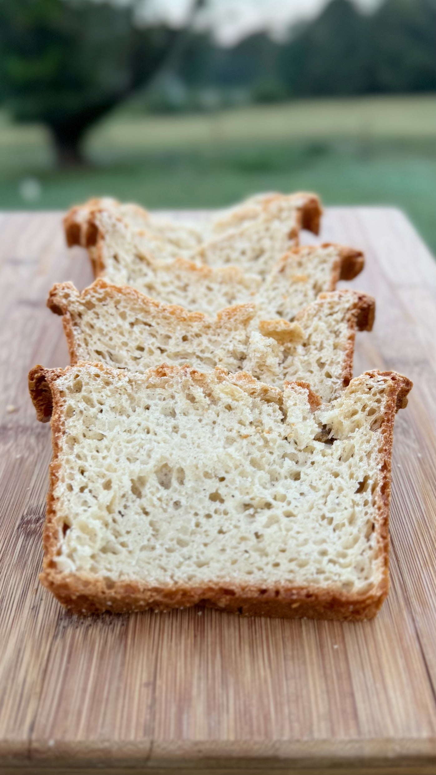 Gluten-Free Bread Traditional Grains Nut Free