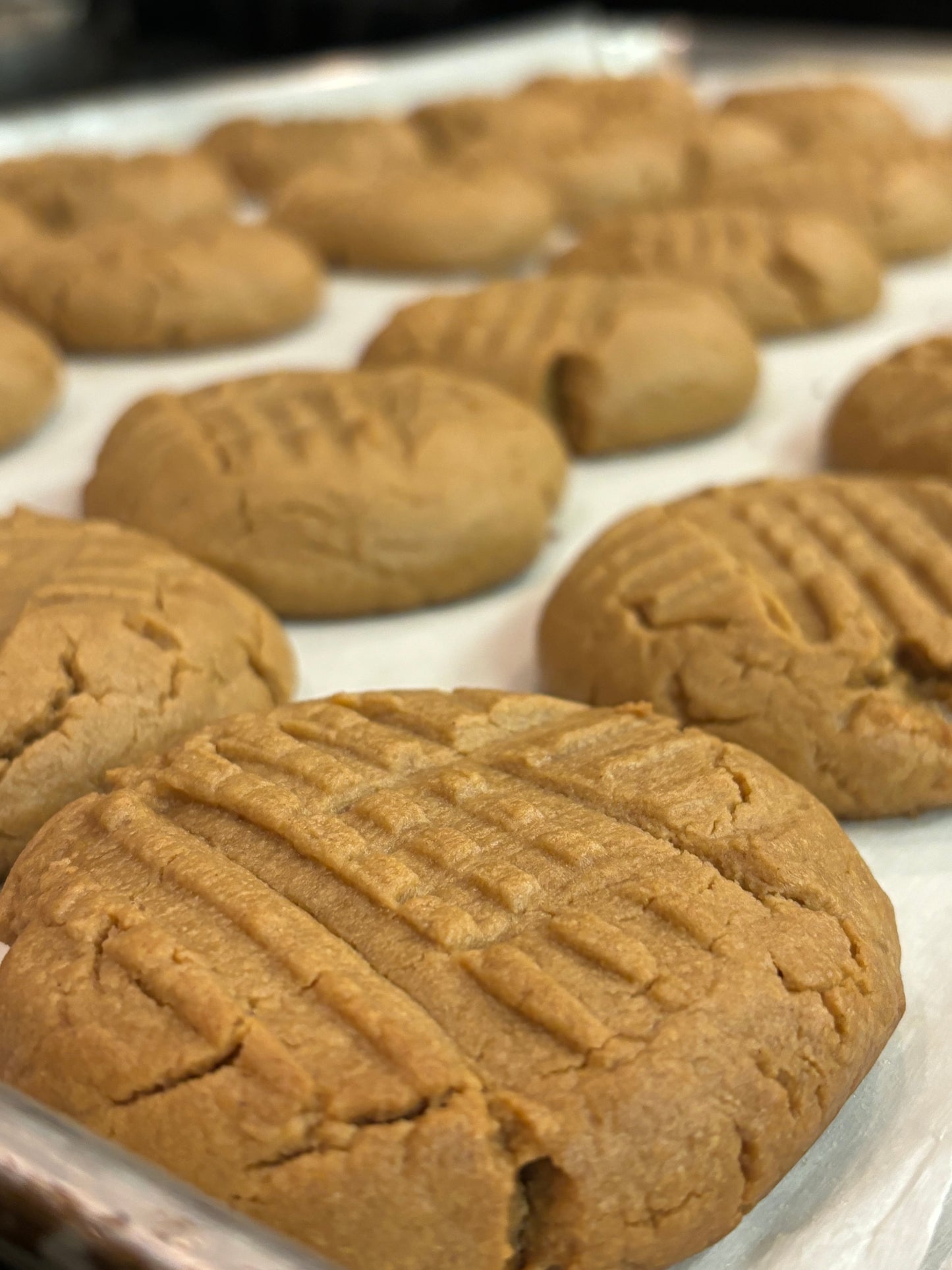 Sampler Peanut Butter Cookies Gluten-free, sugar free, grain free, dairy free, low carb, keto