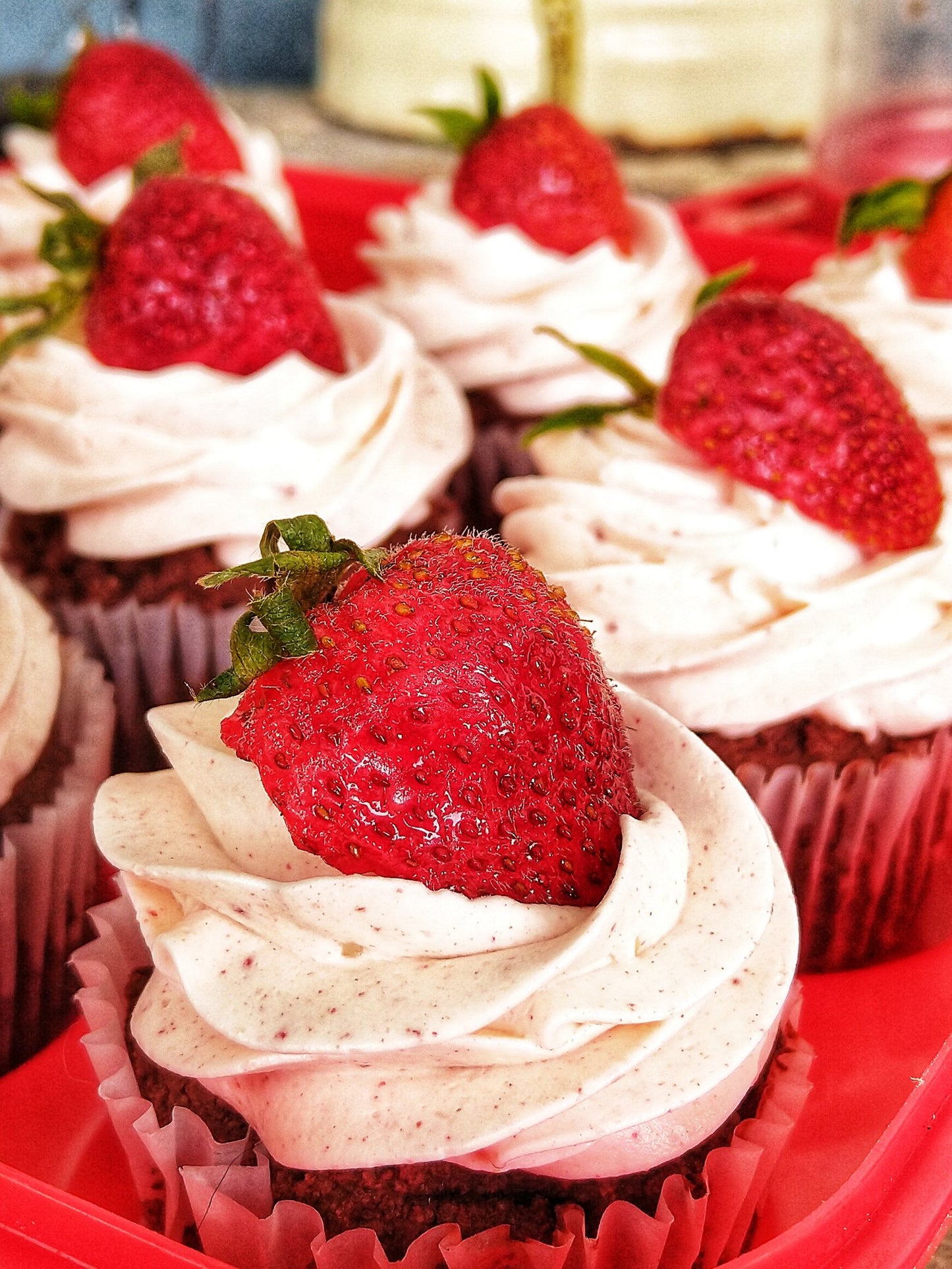 Low Carb Gluten-free Keto Cupcakes 6pk