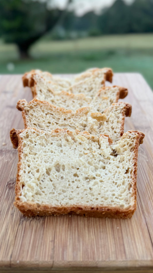 Gluten-Free Bread Traditional Grains Nut Free